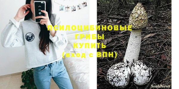 эйфоретик Вяземский