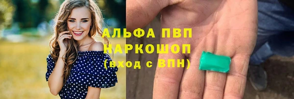 молекула духа Вязьма
