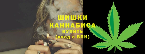 PSILOCYBIN Вязники