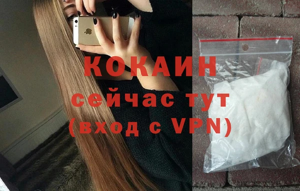 PSILOCYBIN Вязники