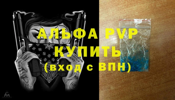 PSILOCYBIN Вязники