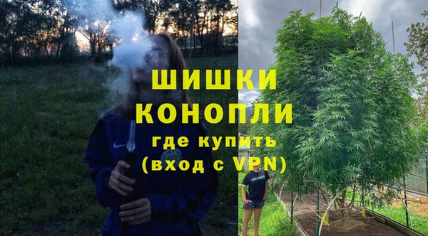 эйфоретик Вяземский