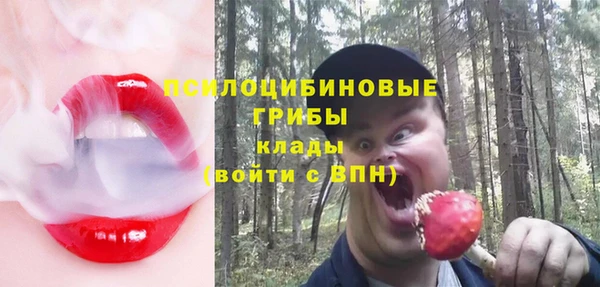 молекула духа Вязьма