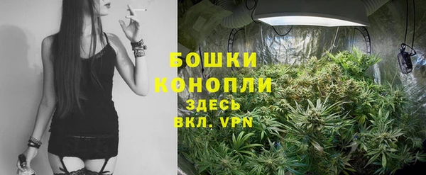 PSILOCYBIN Вязники