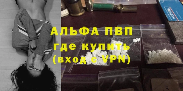 PSILOCYBIN Вязники
