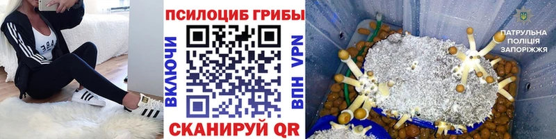 ОМГ ОМГ ссылка  Москва  Галлюциногенные грибы Cubensis  где купить наркоту 